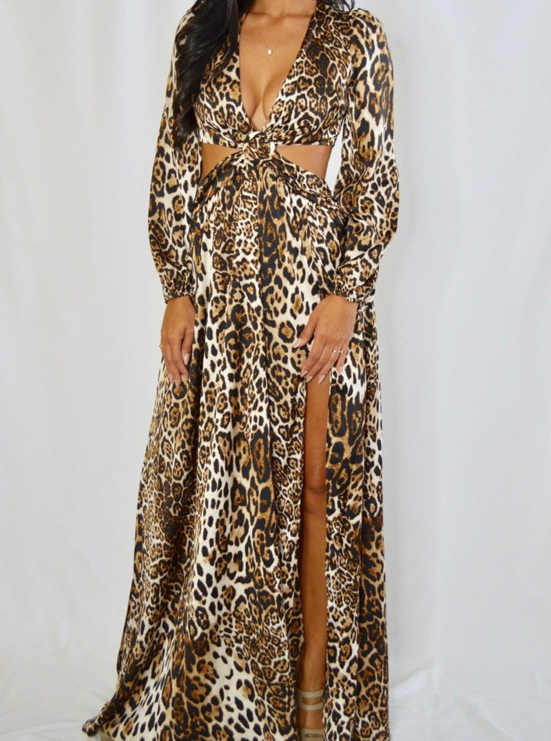 Jungle Glam Maxi Dress – Pashen Boutique